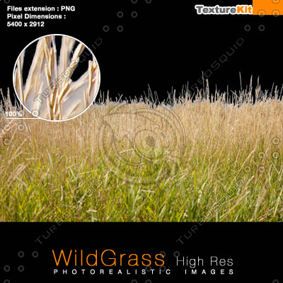 Texture PNG wild grass texturekit