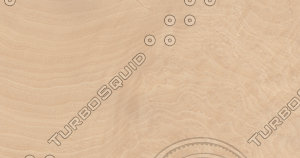 Madrona Burl Veneer Texture