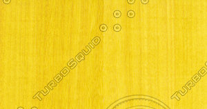 Tay Veneer Texture