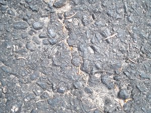 vlm_pavtexture002