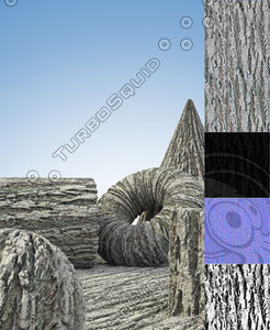 Cottonwood Tree Bark