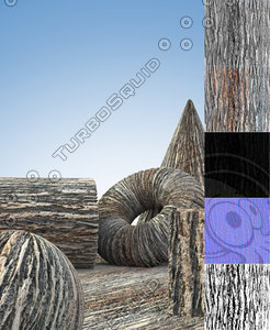 Oak Tree Bark