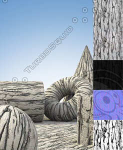Hickory Tree Bark