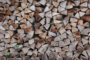 Firewood