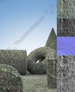 Hanging Wall Vines 1