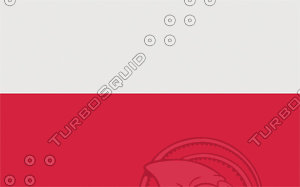 Poland flag