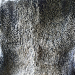 fur (15)