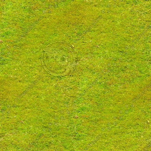 Texture JPEG grass texture grass2