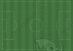 Soccer Field Texture