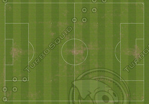 Soccer Field Texture
