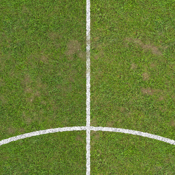 Football Pitch Texture