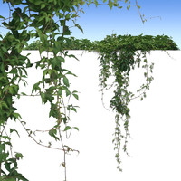 Vine4.psd