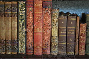 Book Spine_Texture_ 0001