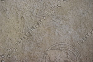 Fur_Texture_0003