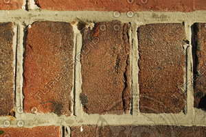 Brick_Texture