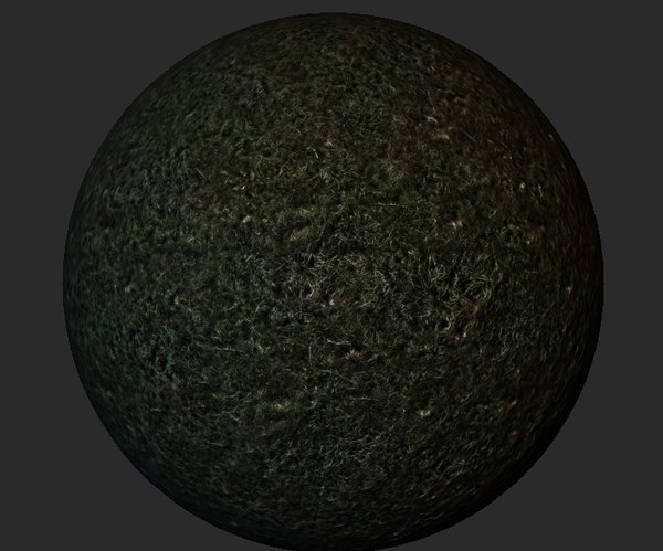 Texture Windows Bitmap Forest Texture Moss