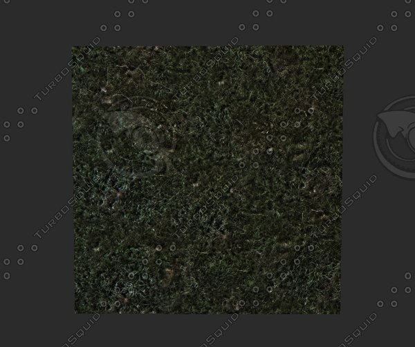 Texture Windows Bitmap Forest Texture Moss