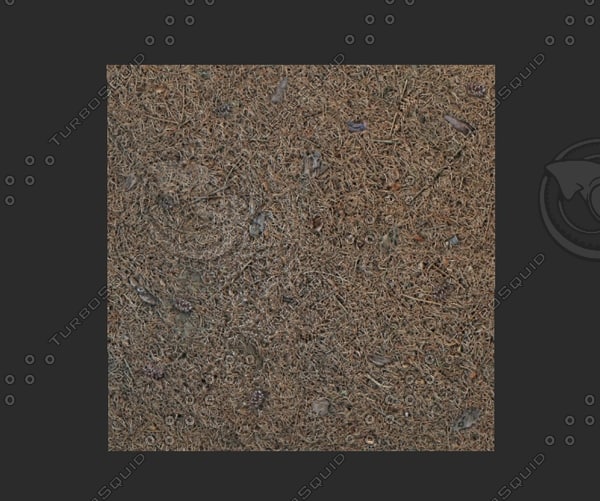 Texture Windows Bitmap Forest Texture Cone