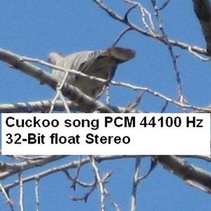 cuckoo