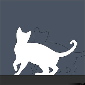 2D Cat 00295se