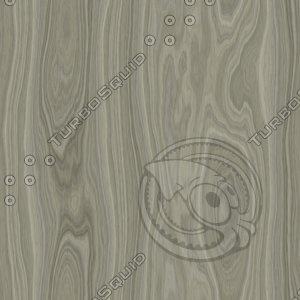 Gray Ash Wood Tileable Texture
