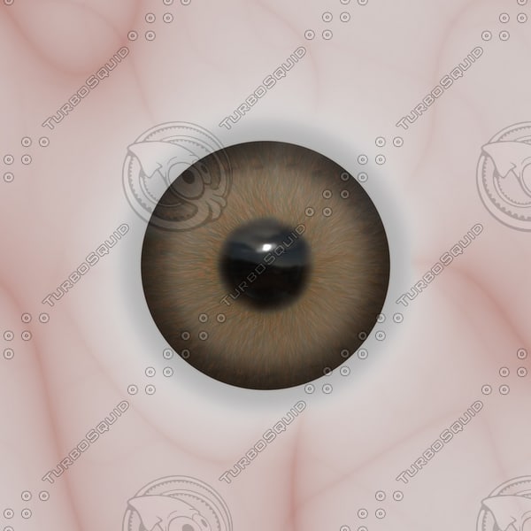 Texture PNG human eye texture