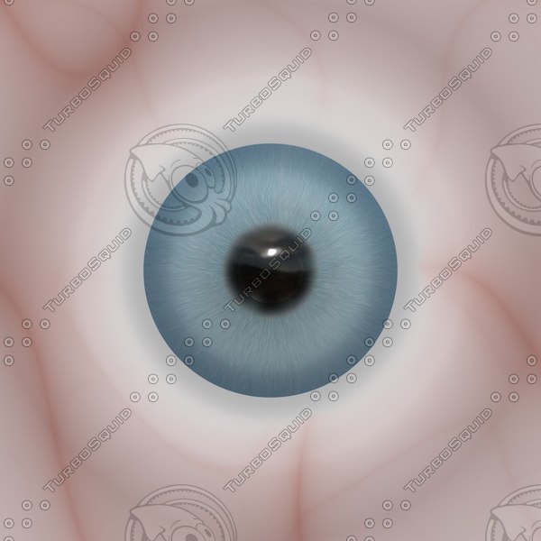 Texture PNG human eye texture