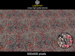 VolcanicRockAndRedPlants