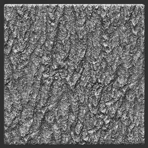 Bark deciduous 05 ZBrush Alpha