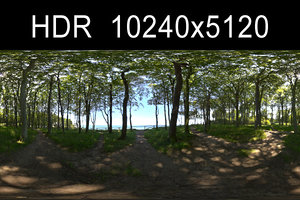 Forest 3