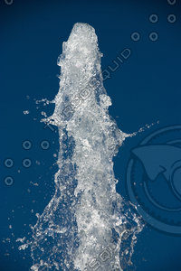 Water With Opacity