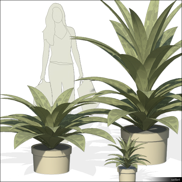 Building Revit Family Plant Plants Planting