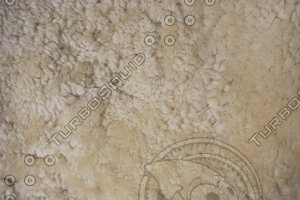 Fur_Texture_0002