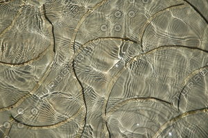 Texture shallow water surface covering stone close