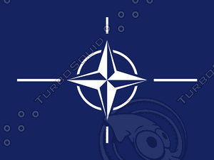 NATO texture Flag