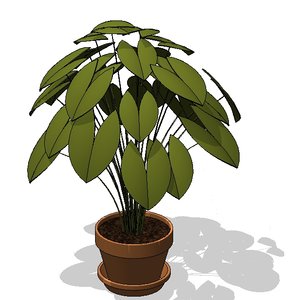 Potted Plant 2