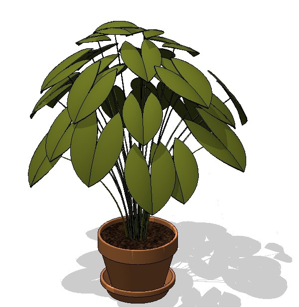  https://static.turbosquid.com/Preview/2014/08/01__21_05_01/Potted+Plant+2.jpgc322cb12-3a55-42ea-a46b-e617f2cbe4eaOriginal.jpg