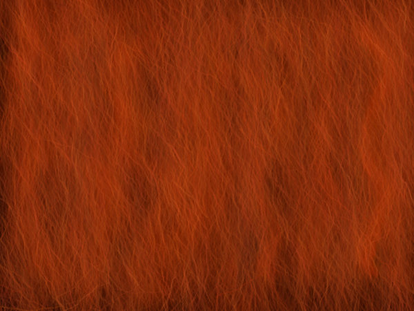 Praktisk Fremtrædende Bug Auburn Red Hair Texture