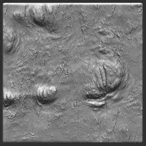 Bark sycamore 02 ZBrush Alpha