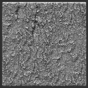 Bark deciduous 02 ZBrush Alpha