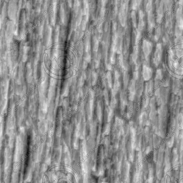 zbrush bark texture