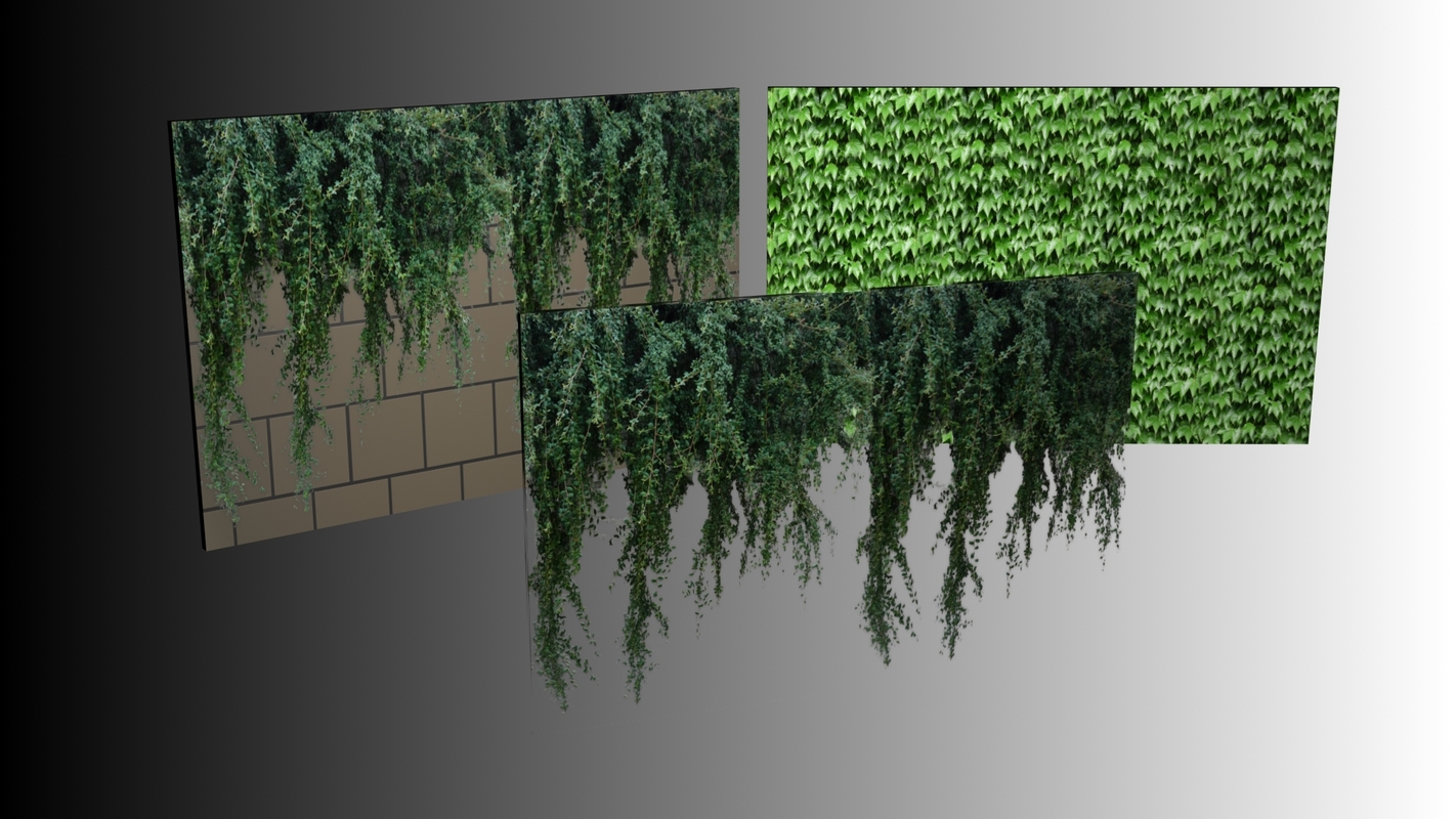 Texture PNG Plant wall plants