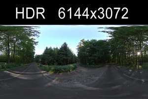 Forest 2