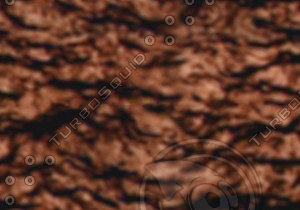 water (2)