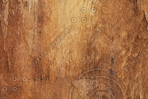 Wood_Texture_0001