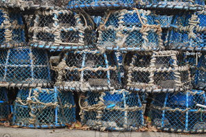 Lobster Trap_0001