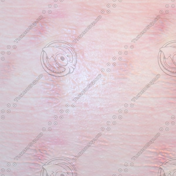 Texture JPEG Flower Petal Veins