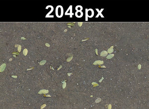 2x Leaves on Sand 2