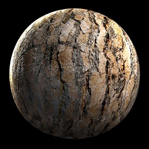 Ponderosa Pine Bark