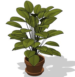 Potted Plant 1